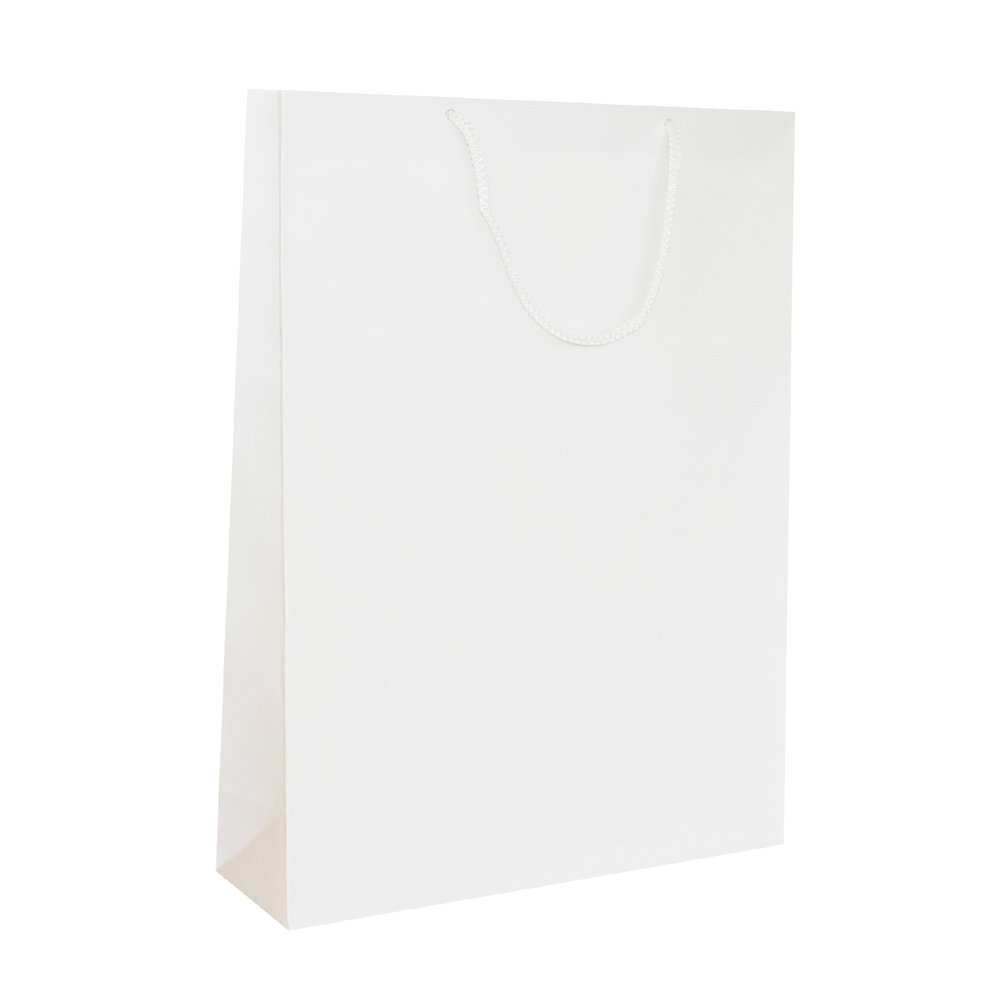 Prestige bags without printing | Prestige bags | Mypaperbag